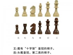 国际象棋中的异格含义深度解析：探索棋子角色与战略运用