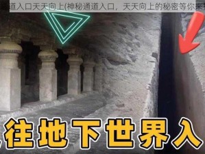 神秘通道入口天天向上(神秘通道入口，天天向上的秘密等你来探寻)