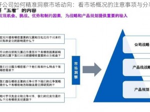 好公司如何精准洞察市场动向：看市场概况的注意事项与分享