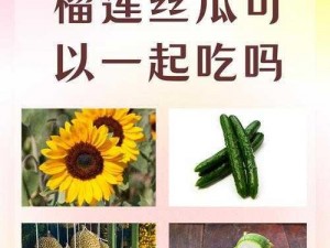 茄子丝瓜向日葵黄瓜榴莲鸭脖、茄子丝瓜向日葵黄瓜榴莲鸭脖，哪种是你最爱的蔬菜或水果？