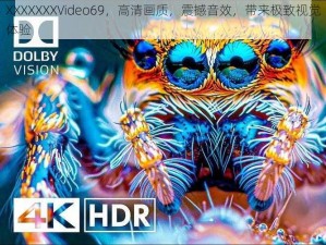 XXXXXXX∨ideo69，高清画质，震撼音效，带来极致视觉体验