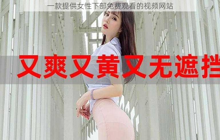 一款提供女性下部免费观看的视频网站