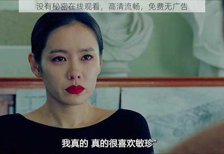 没有秘密在线观看,高清流畅,免费无广告