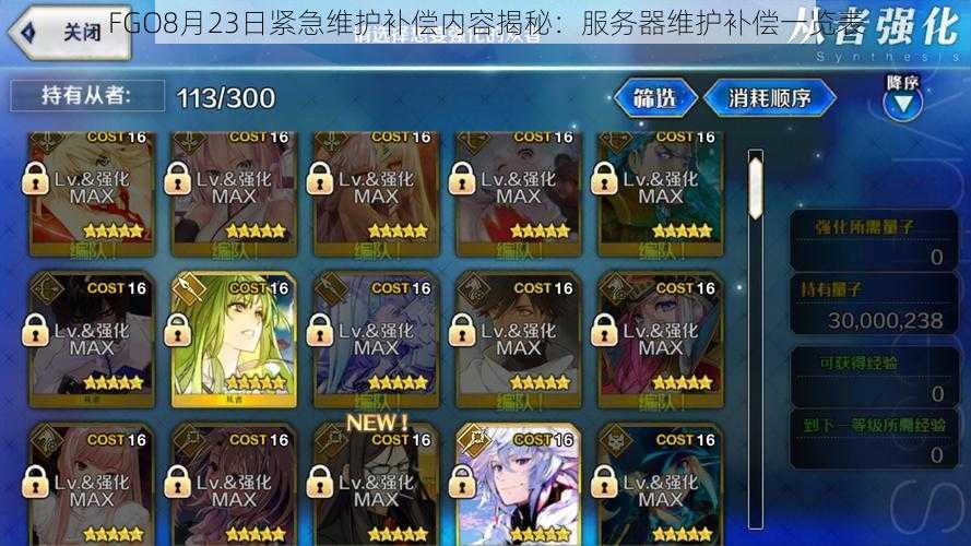 FGO8月23日紧急维护补偿内容揭秘:服务器维护补偿一览表
