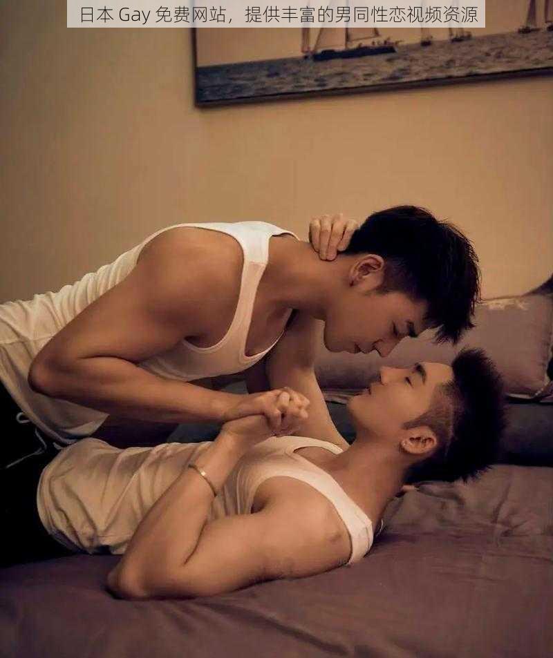 日本 Gay 免费网站,提供丰富的男同性恋视频资源