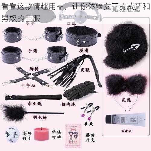 看看这款情趣用品,让你体验女王的威严和男奴的臣服