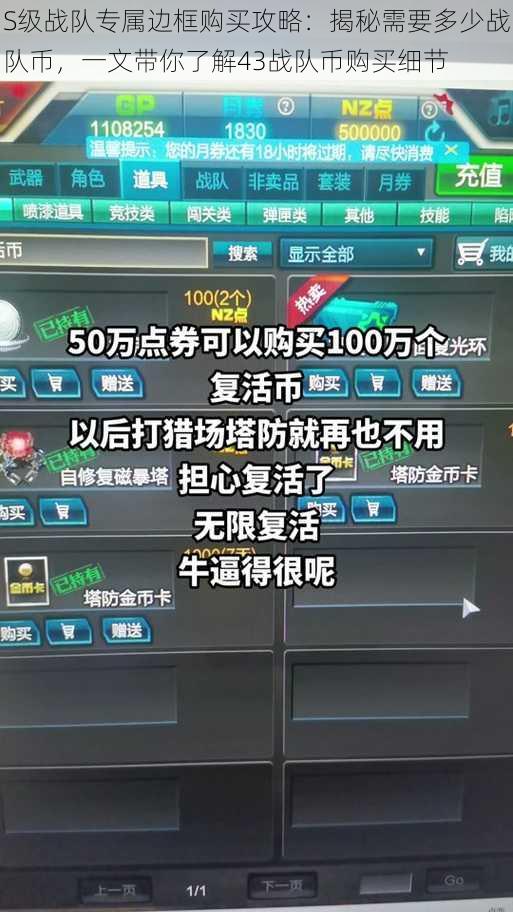 S级战队专属边框购买攻略:揭秘需要多少战队币,一文带你了解43战队币购买细节
