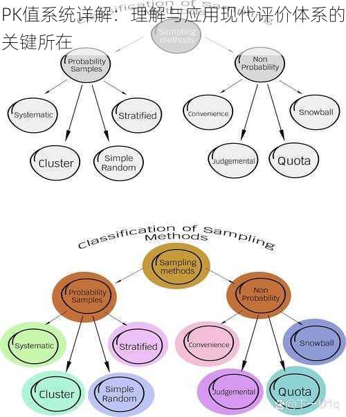 PK值系统详解：理解与应用现代评价体系的关键所在