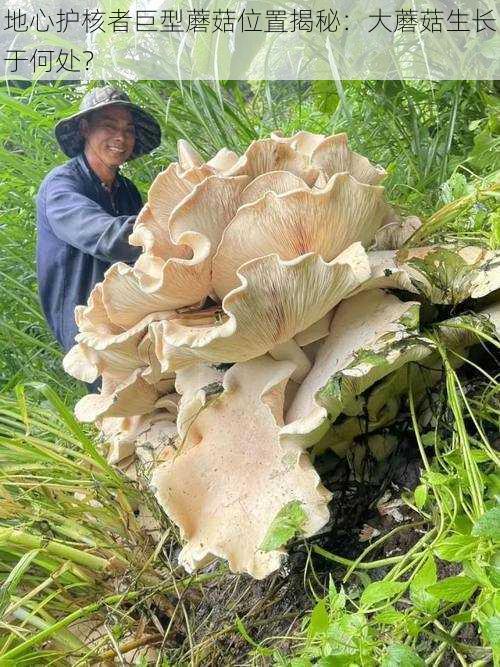 地心护核者巨型蘑菇位置揭秘:大蘑菇生长于何处?