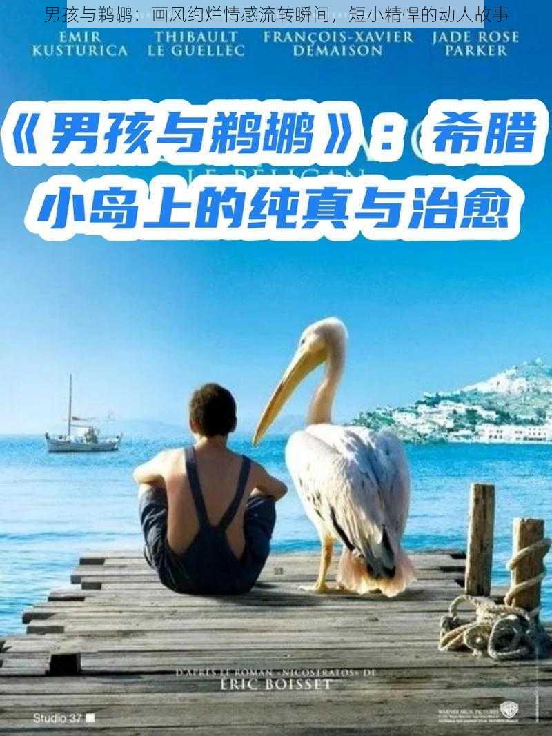 男孩与鹈鹕：画风绚烂情感流转瞬间，短小精悍的动人故事