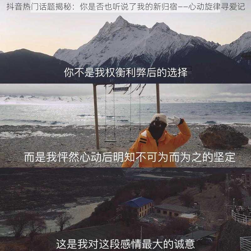 抖音热门话题揭秘：你是否也听说了我的新归宿——心动旋律寻爱记