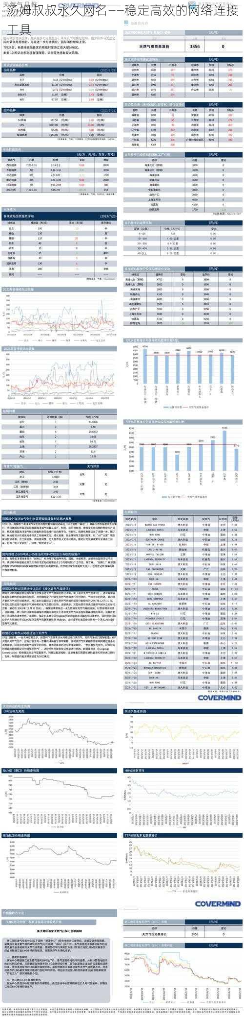 汤姆叔叔永久网名——稳定高效的网络连接工具