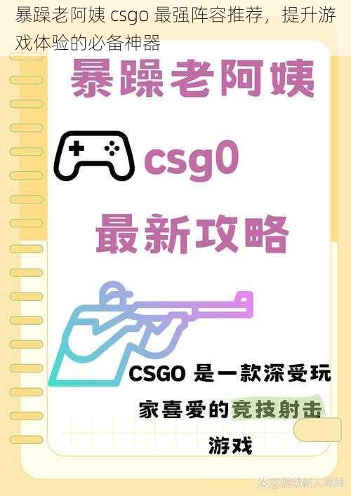 暴躁老阿姨 csgo 最强阵容推荐，提升游戏体验的必备神器