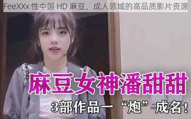 FeeXXx 性中国 HD 麻豆，成人领域的高品质影片资源