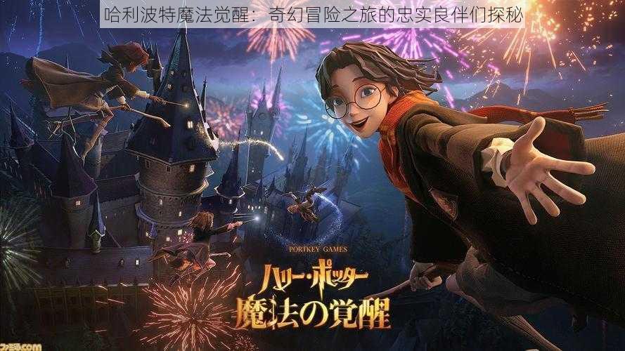 哈利波特魔法觉醒：奇幻冒险之旅的忠实良伴们探秘