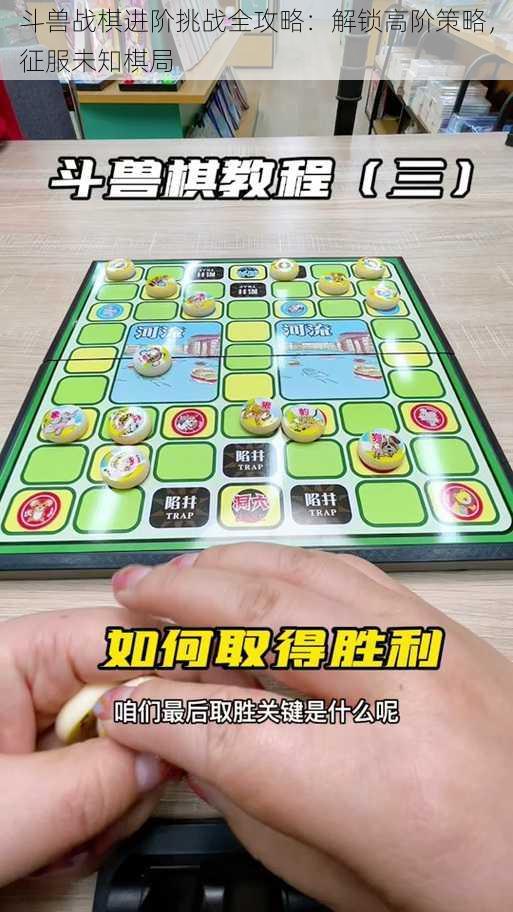 斗兽战棋进阶挑战全攻略：解锁高阶策略，征服未知棋局