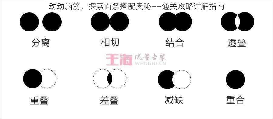 动动脑筋，探索面条搭配奥秘——通关攻略详解指南