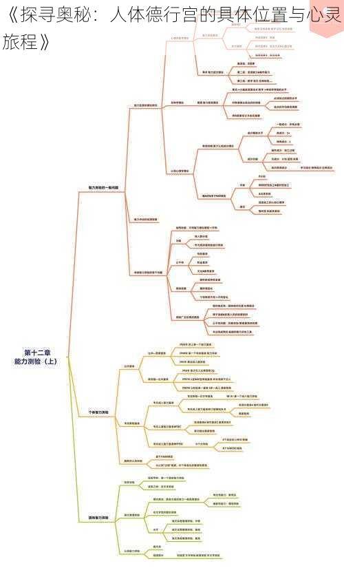 《探寻奥秘：人体德行宫的具体位置与心灵旅程》