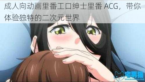 成人向动画里番工口绅士里番 ACG，带你体验独特的二次元世界