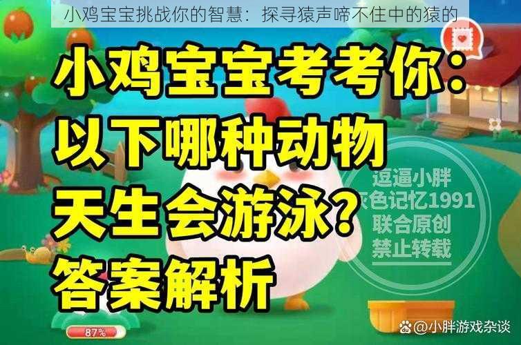 小鸡宝宝挑战你的智慧：探寻猿声啼不住中的猿的