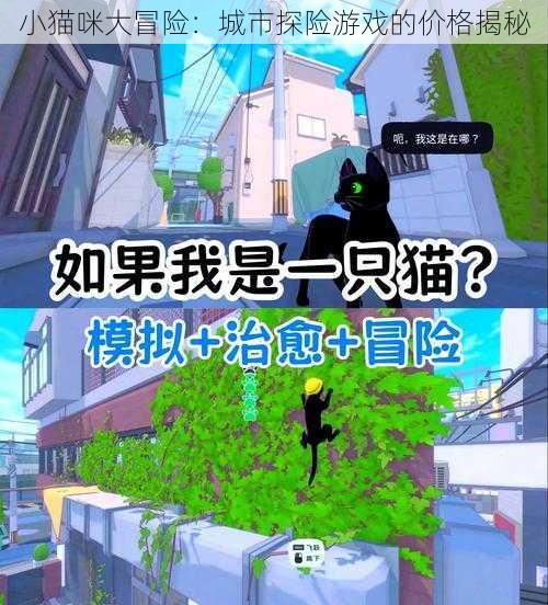 小猫咪大冒险：城市探险游戏的价格揭秘