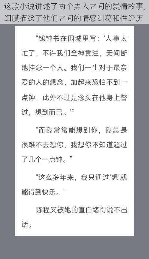 这款小说讲述了两个男人之间的爱情故事，细腻描绘了他们之间的情感纠葛和性经历