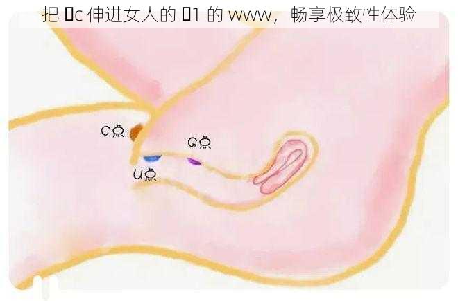 把 ἴc 伸进女人的 ἵ1 的 www，畅享极致性体验