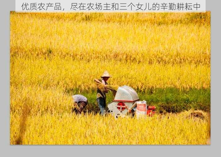 优质农产品，尽在农场主和三个女儿的辛勤耕耘中