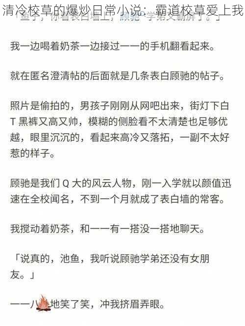 清冷校草的爆炒日常小说：霸道校草爱上我