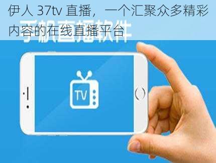 伊人 37tv 直播，一个汇聚众多精彩内容的在线直播平台