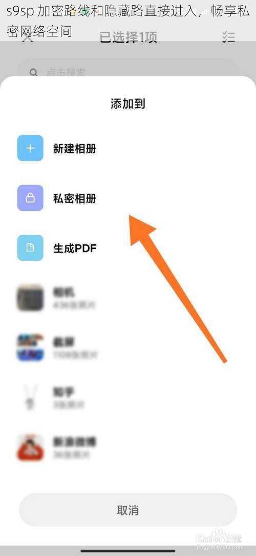 s9sp 加密路线和隐藏路直接进入，畅享私密网络空间