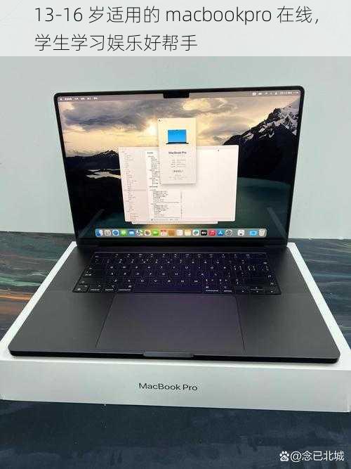 13-16 岁适用的 macbookpro 在线，学生学习娱乐好帮手