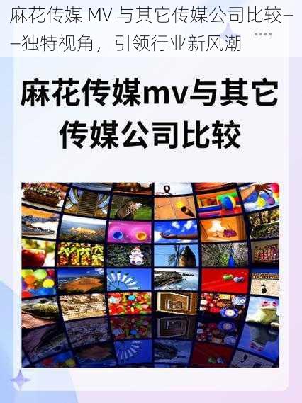 麻花传媒 MV 与其它传媒公司比较——独特视角，引领行业新风潮