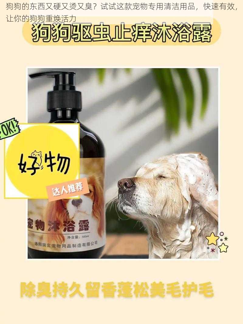 狗狗的东西又硬又烫又臭？试试这款宠物专用清洁用品，快速有效，让你的狗狗重焕活力