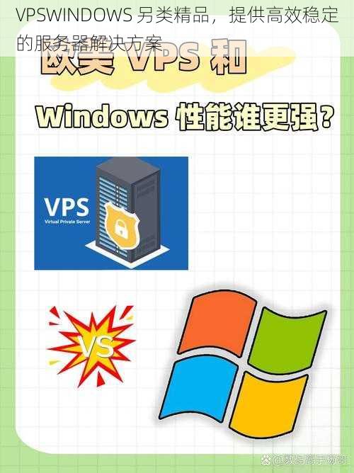 VPSWINDOWS 另类精品，提供高效稳定的服务器解决方案