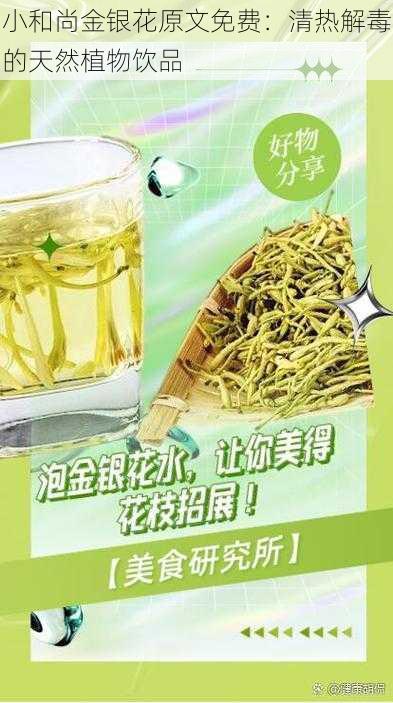 小和尚金银花原文免费：清热解毒的天然植物饮品