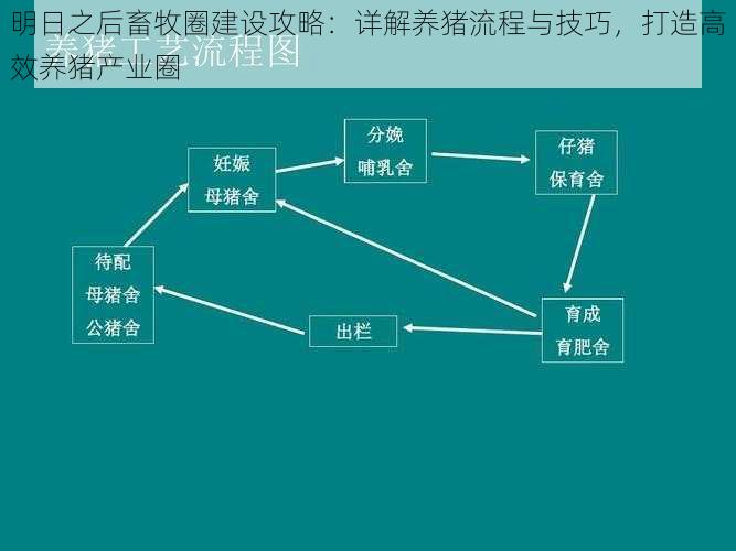 明日之后畜牧圈建设攻略：详解养猪流程与技巧，打造高效养猪产业圈