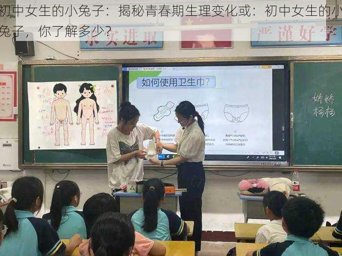 初中女生的小兔子：揭秘青春期生理变化或：初中女生的小兔子，你了解多少？