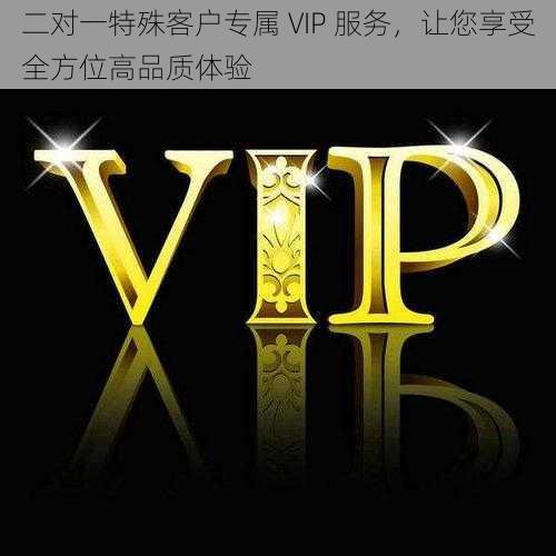 二对一特殊客户专属 VIP 服务，让您享受全方位高品质体验