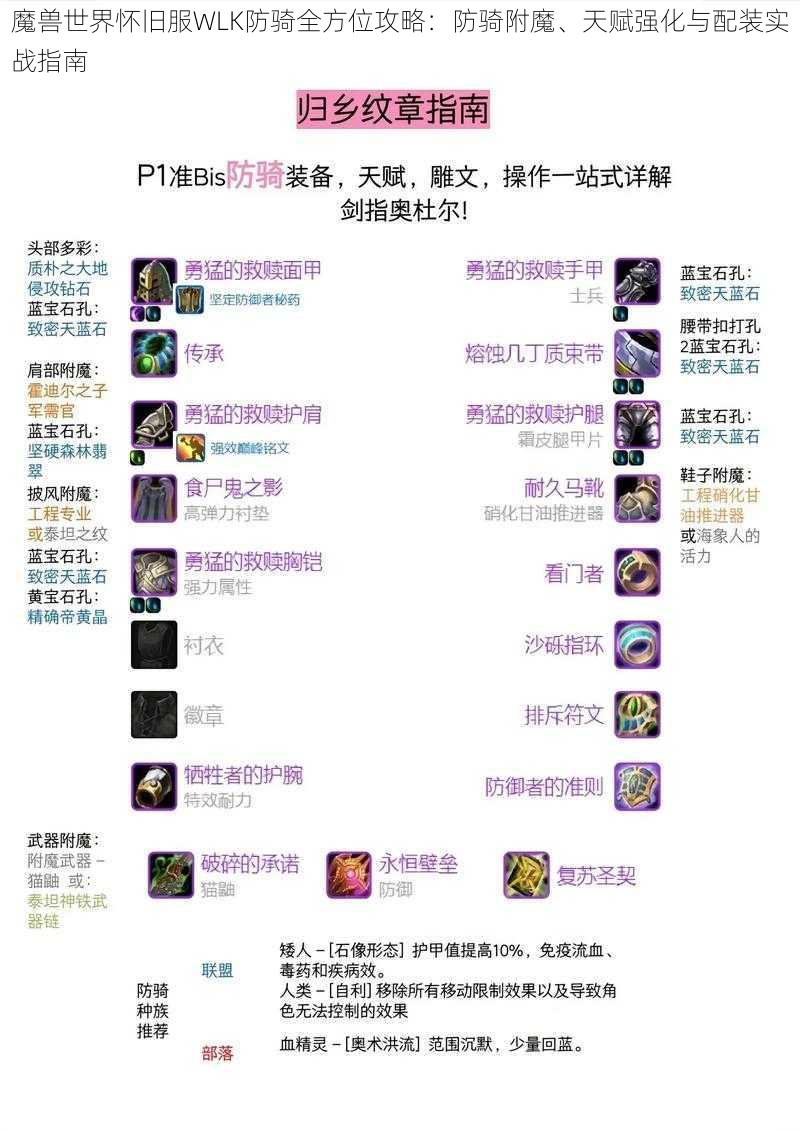 魔兽世界怀旧服WLK防骑全方位攻略：防骑附魔、天赋强化与配装实战指南