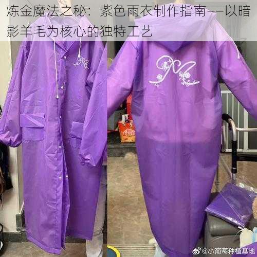 炼金魔法之秘：紫色雨衣制作指南——以暗影羊毛为核心的独特工艺