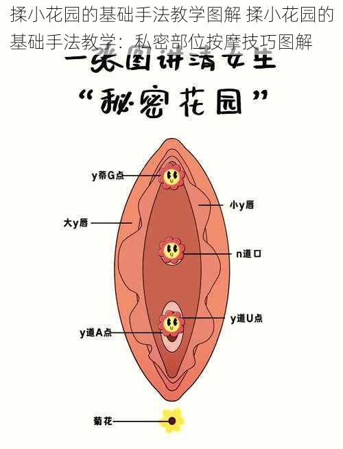 揉小花园的基础手法教学图解 揉小花园的基础手法教学：私密部位按摩技巧图解