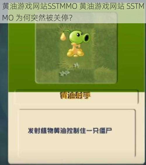 黄油游戏网站SSTMMO 黄油游戏网站 SSTMMO 为何突然被关停？