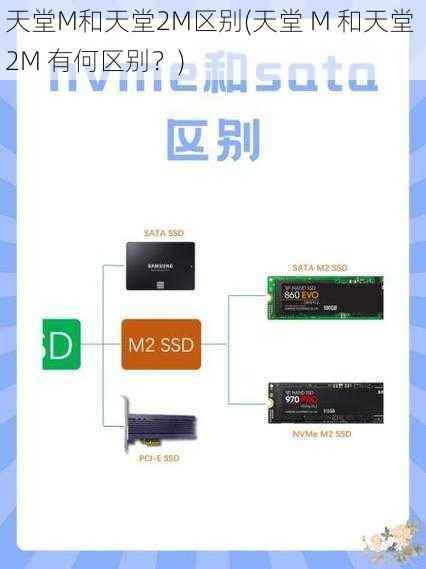 天堂M和天堂2M区别(天堂 M 和天堂 2M 有何区别？)