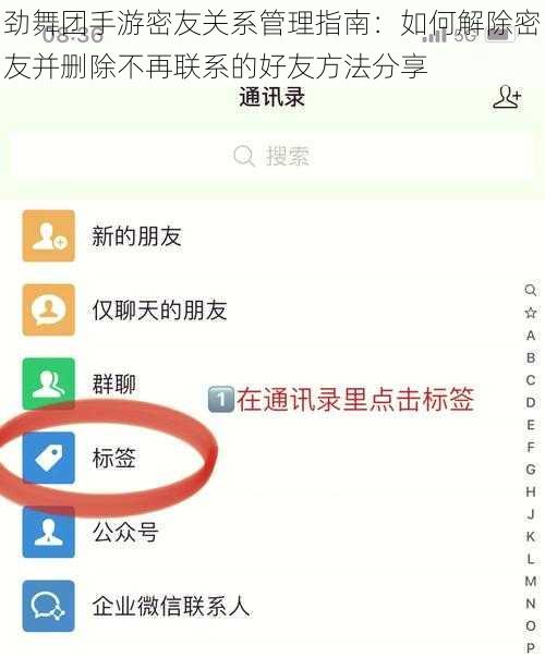 劲舞团手游密友关系管理指南：如何解除密友并删除不再联系的好友方法分享