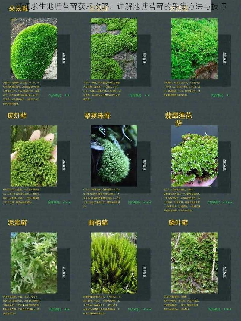 禁闭求生池塘苔藓获取攻略：详解池塘苔藓的采集方法与技巧