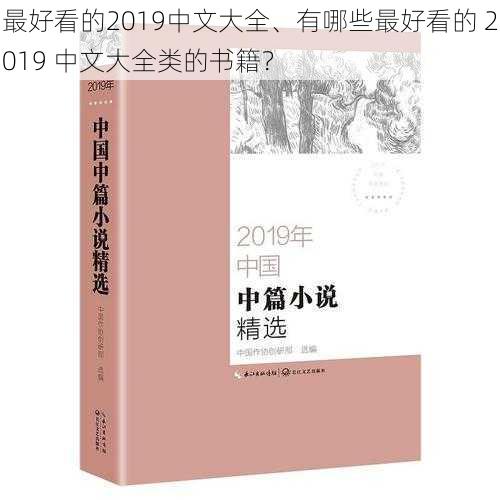 最好看的2019中文大全、有哪些最好看的 2019 中文大全类的书籍？