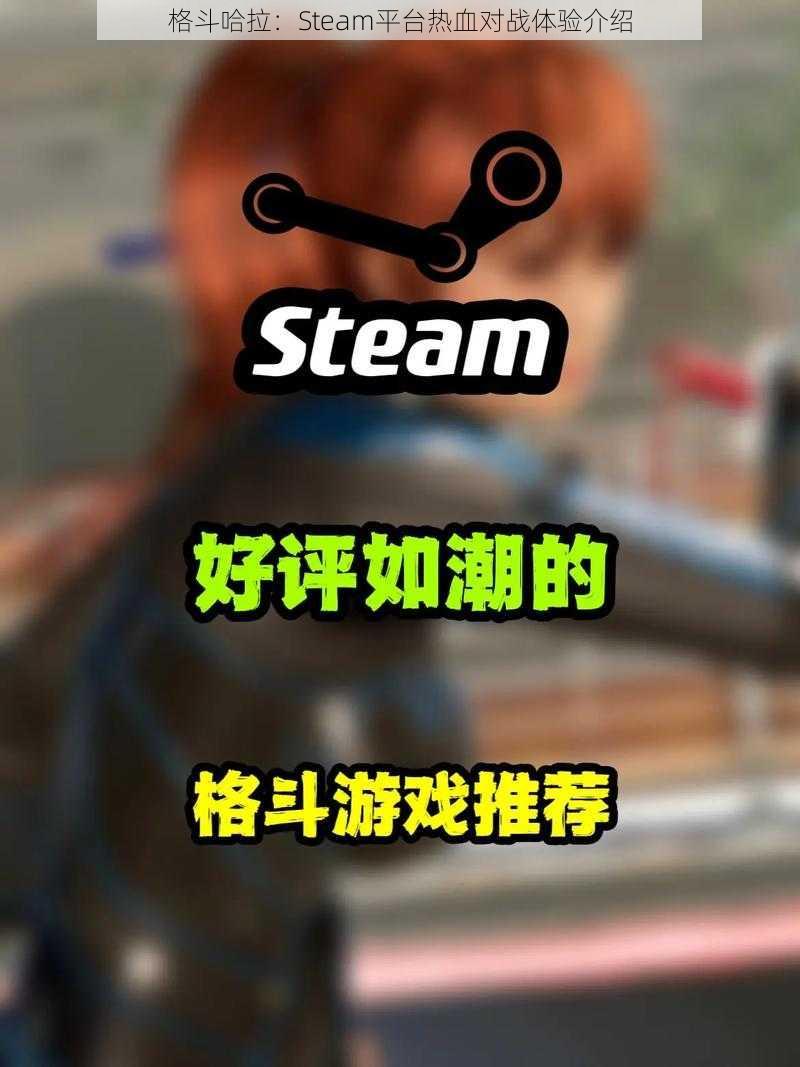 格斗哈拉：Steam平台热血对战体验介绍