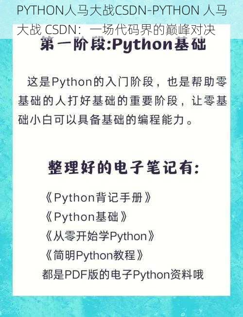 PYTHON人马大战CSDN-PYTHON 人马大战 CSDN：一场代码界的巅峰对决