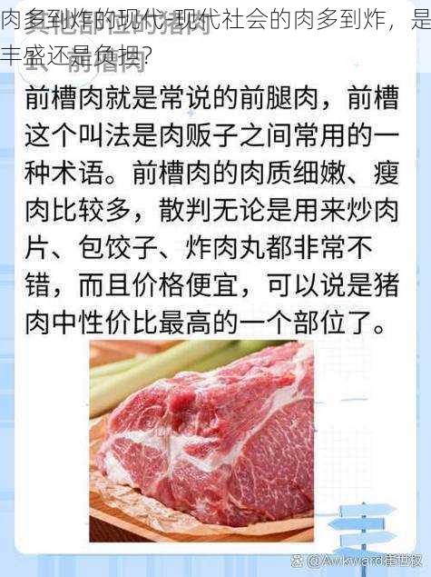 肉多到炸的现代-现代社会的肉多到炸，是丰盛还是负担？